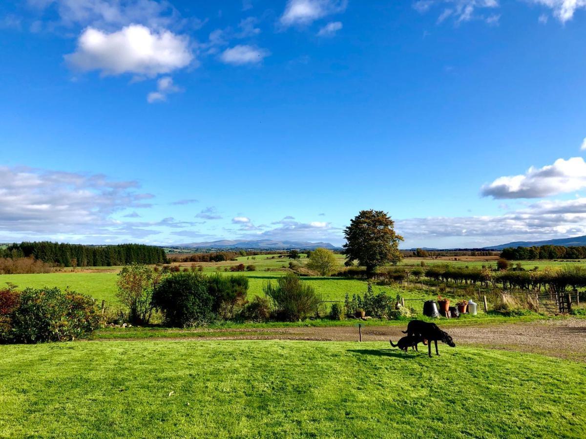 Trossachs Barn & Cabin Bed & Breakfast Port Of Menteith Luaran gambar