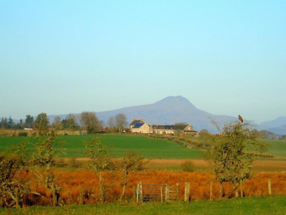 Trossachs Barn & Cabin Bed & Breakfast Port Of Menteith Luaran gambar