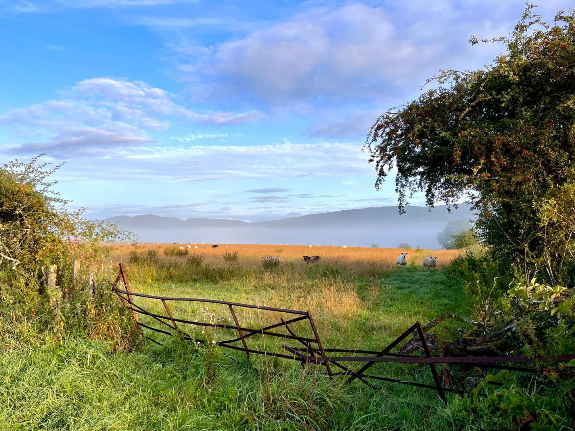 Trossachs Barn & Cabin Bed & Breakfast Port Of Menteith Luaran gambar