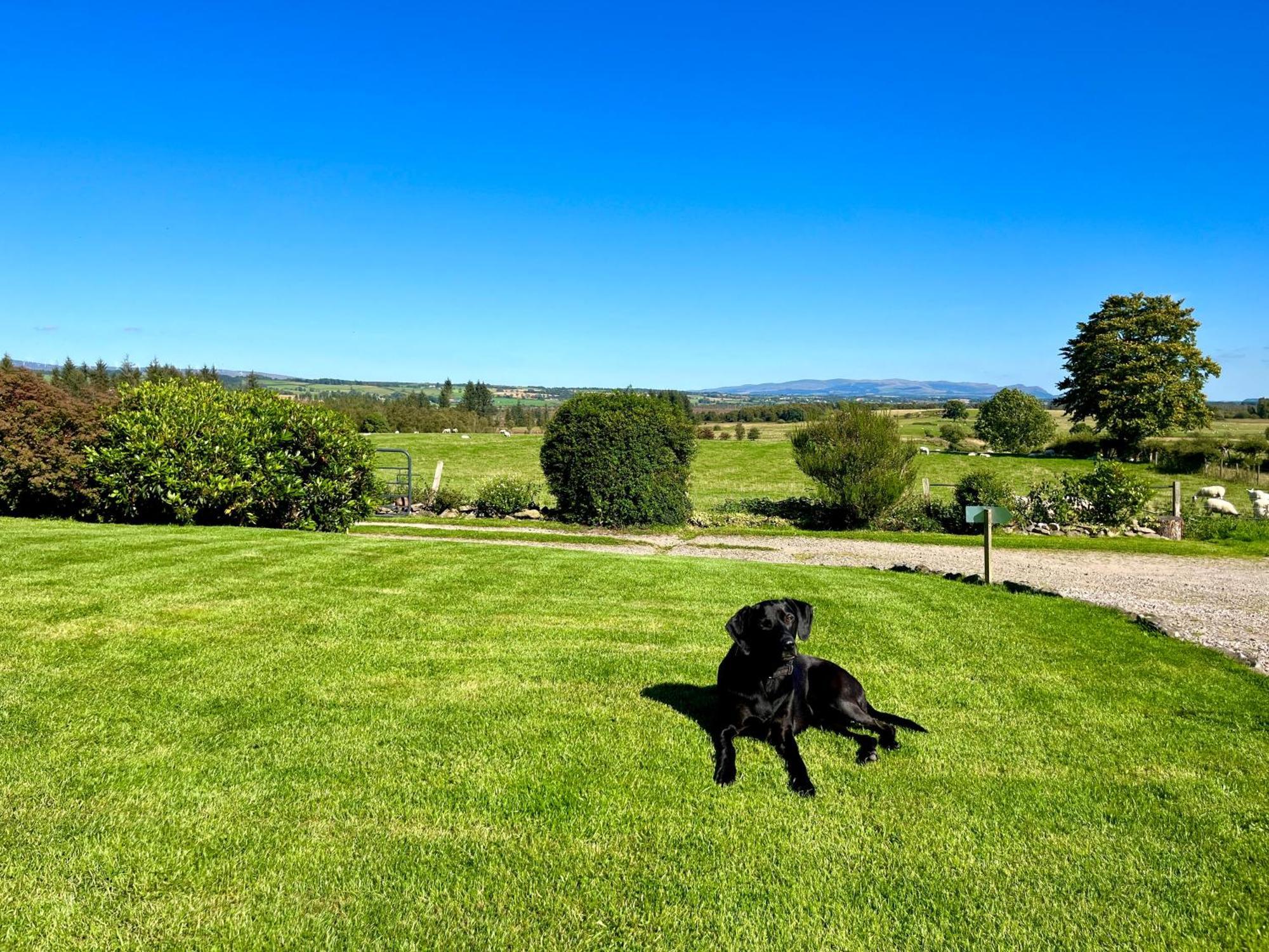 Trossachs Barn & Cabin Bed & Breakfast Port Of Menteith Luaran gambar